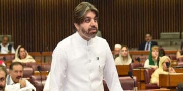 جو پاکستان کی جڑیں کاٹے گا ہم اس کی جڑیں کاٹ کر رکھ دیں گے، علی محمد خان