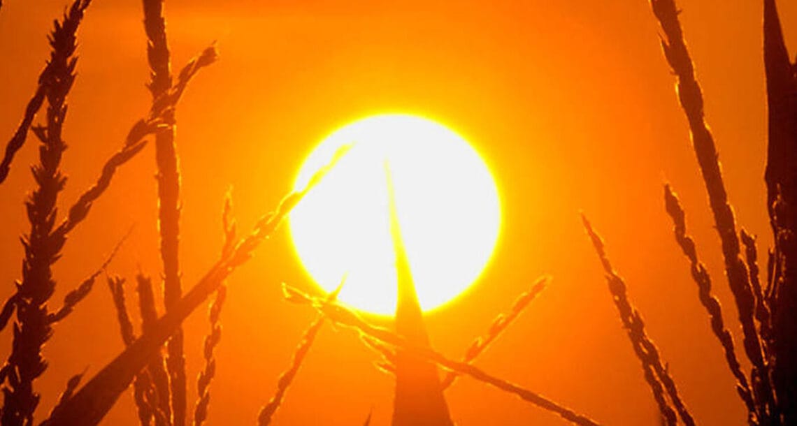 رواں ہفتے کے دوران ملک کے اکثر علاقوں میں موسم شدید گرم رہے گا۔