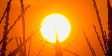 رواں ہفتے کے دوران ملک کے اکثر علاقوں میں موسم شدید گرم رہے گا۔