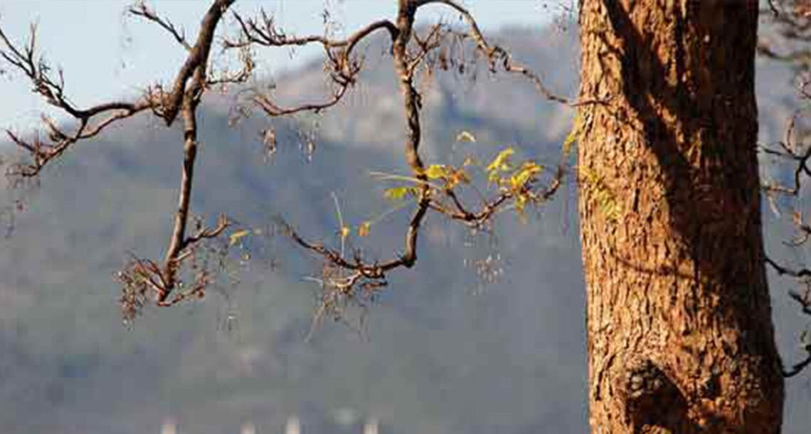 کاروباری ہفتہ کے دوسرے روز اسٹاک مارکیٹ میں مندی
