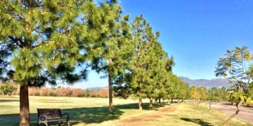 ملک کے بیشتر حصوں میں آج بھی موسم گرم اور خشک رہے گا