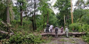 لاہور سمیت پنجاب کے کئی شہروں میں تیز آندھی کے ساتھ بارش، موسم خوشگوار