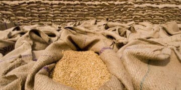 اقتصادی رابطہ کمیٹی کی گندم اور آٹے کی برآمد پر پابندی