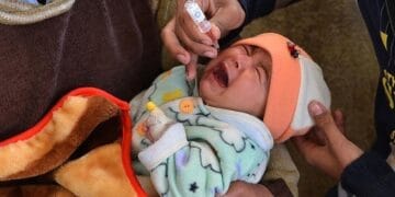 صوبائی حکومت کی 10 مہلک بیماریوں سے بچاؤ کی 11 روزہ مہم شروع