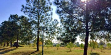 ملک کے بیشتر علاقوں میں موسم گرم اور مرطوب رہے گا