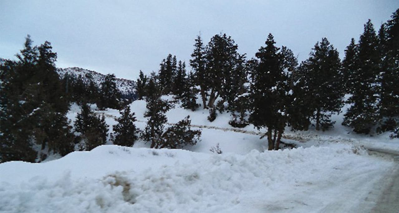 ملک کے بالائی علاقوں میں موسم ابر آلود، سردی میں اضافے کا امکان