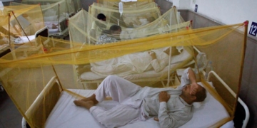 شہر قائد میں ایک ہی دن میں ڈینگی کے 144 نئے کیسز سامنے آگئے
