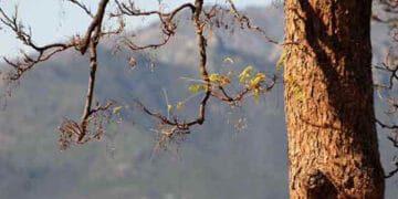 ملک کے اکثر علاقوں میں موسم خشک جبکہ شمالی علاقہ جات میں سرد اور خشک رہنے کا امکان