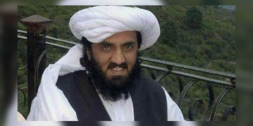 جے یو آئی (ف) کے سابق سینیٹر حافظ حمداللہ کا شناختی کارڈ منسوخ