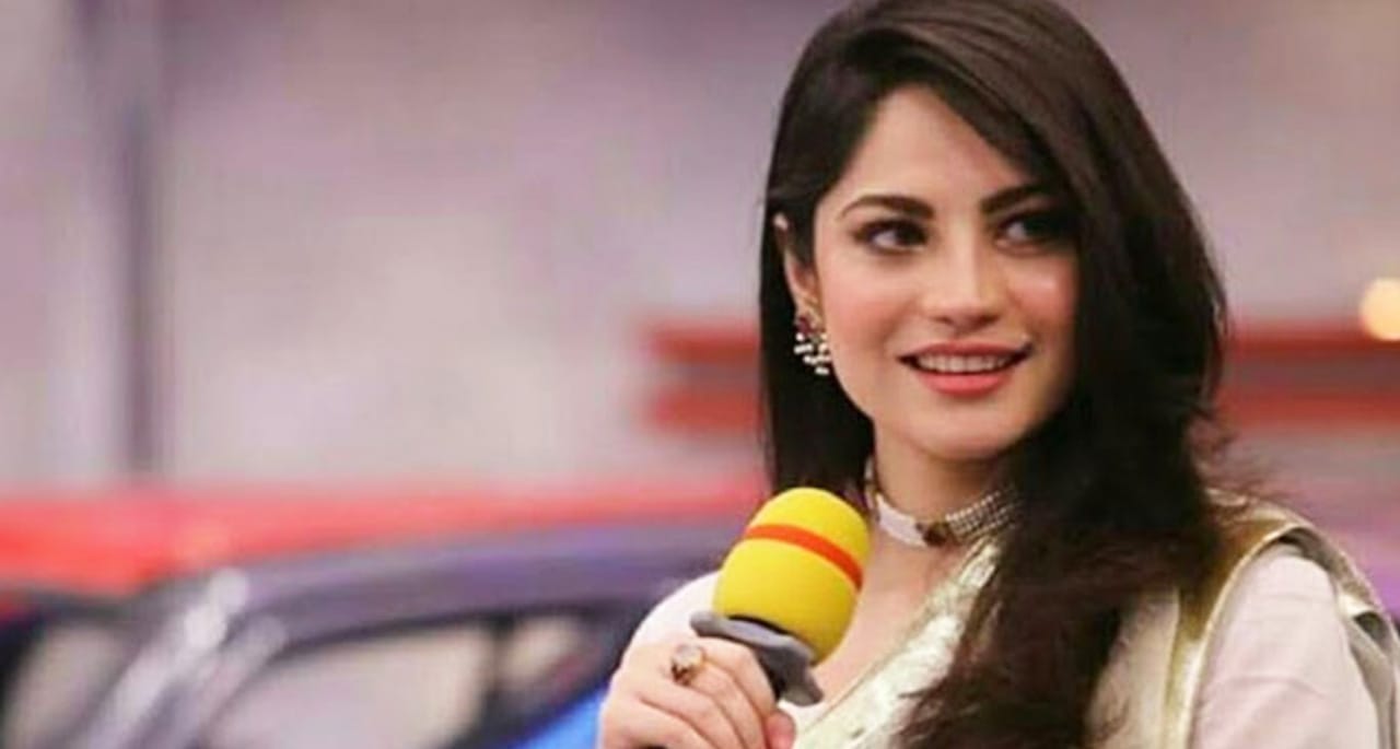 مولانا صاحب نے عمران خان کو گرفتاری کی دھمکی دے کر میرا دل توڑ دیا- نیلم منیر