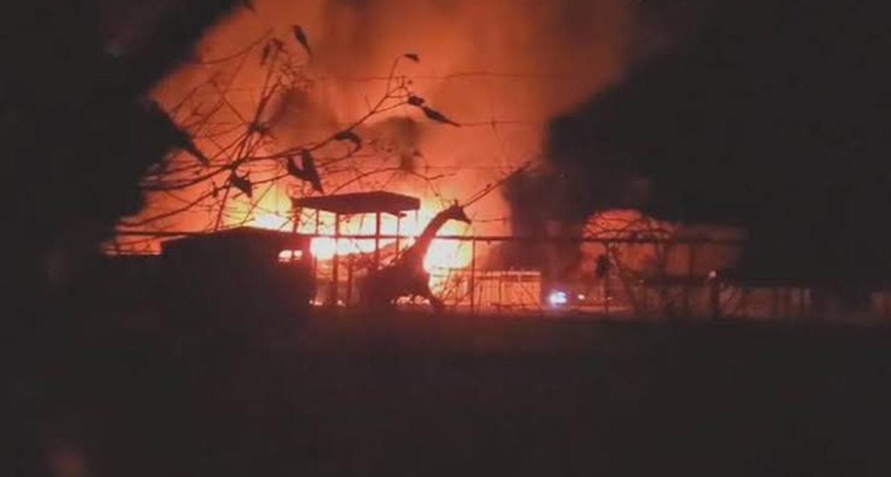 امریکا کے سفاری پارک میں اچانک آگ بھڑک اُٹھی، 10 جانور ہلاک