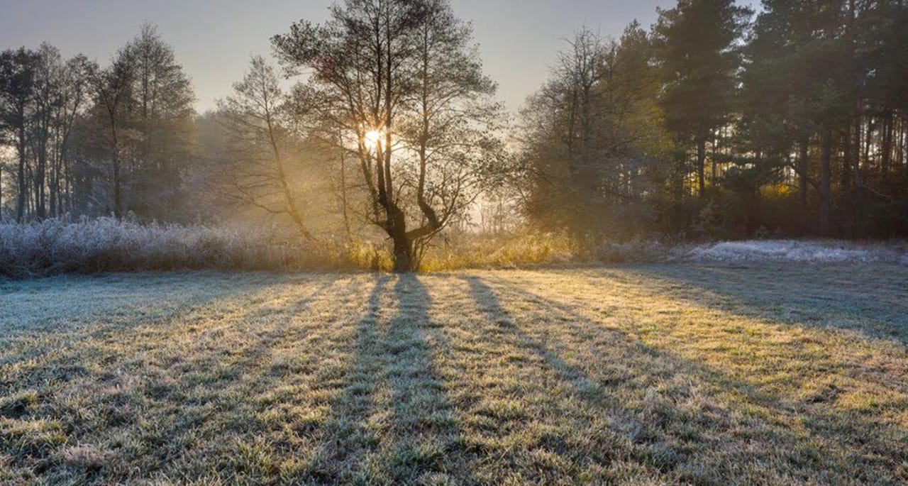 ملک کے بیشتر حصوں میں موسم خشک اور سرد رہنے کا امکان