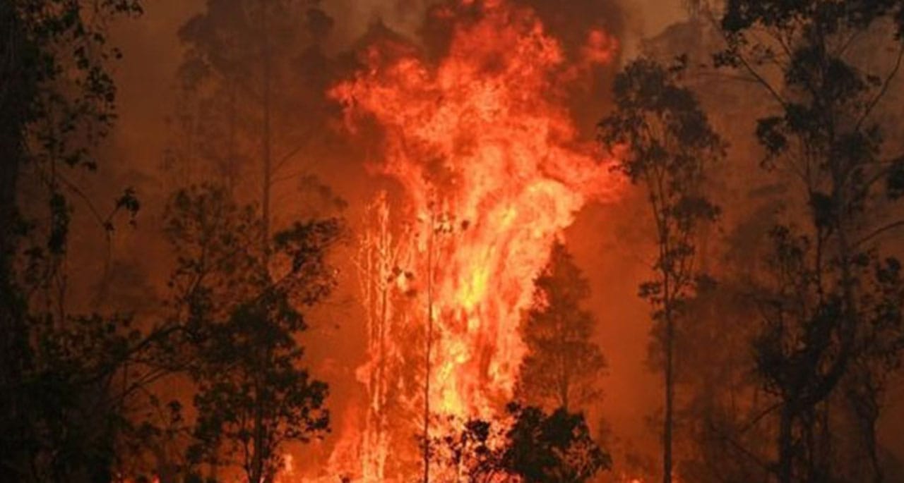 آسٹریلیا، جنگلات میں لگی آگ اب تک بے قابو