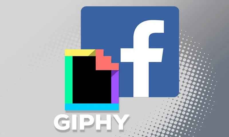 شاہد آفریدی نے 20 ہزار ڈالرز کا بلا خرید لیا۔