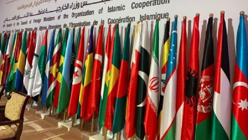 او آئی سی نے بھی مقبوضہ کشمیر میں بھارت کے ڈومیسائل قانون کو مسترد کر دیا۔