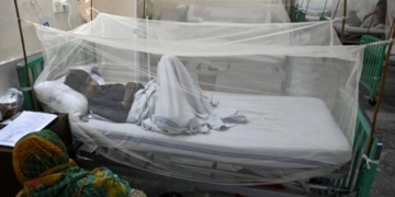 پنجاب اور پختونخوا میں ڈینگی کے مریضوں کی تعداد میں مسلسل اضافہ