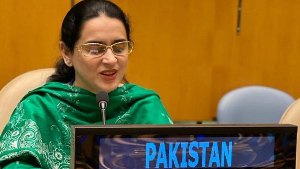 پاکستان نے مقبوضہ کشمیر میں ماورائے عدالت قتل کا معاملہ پھر اقوام متحدہ میں اٹھادیا