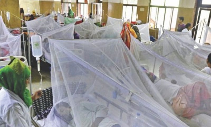 اسلام آباد میں ڈینگی کے مزید 84 کیس رپورٹ