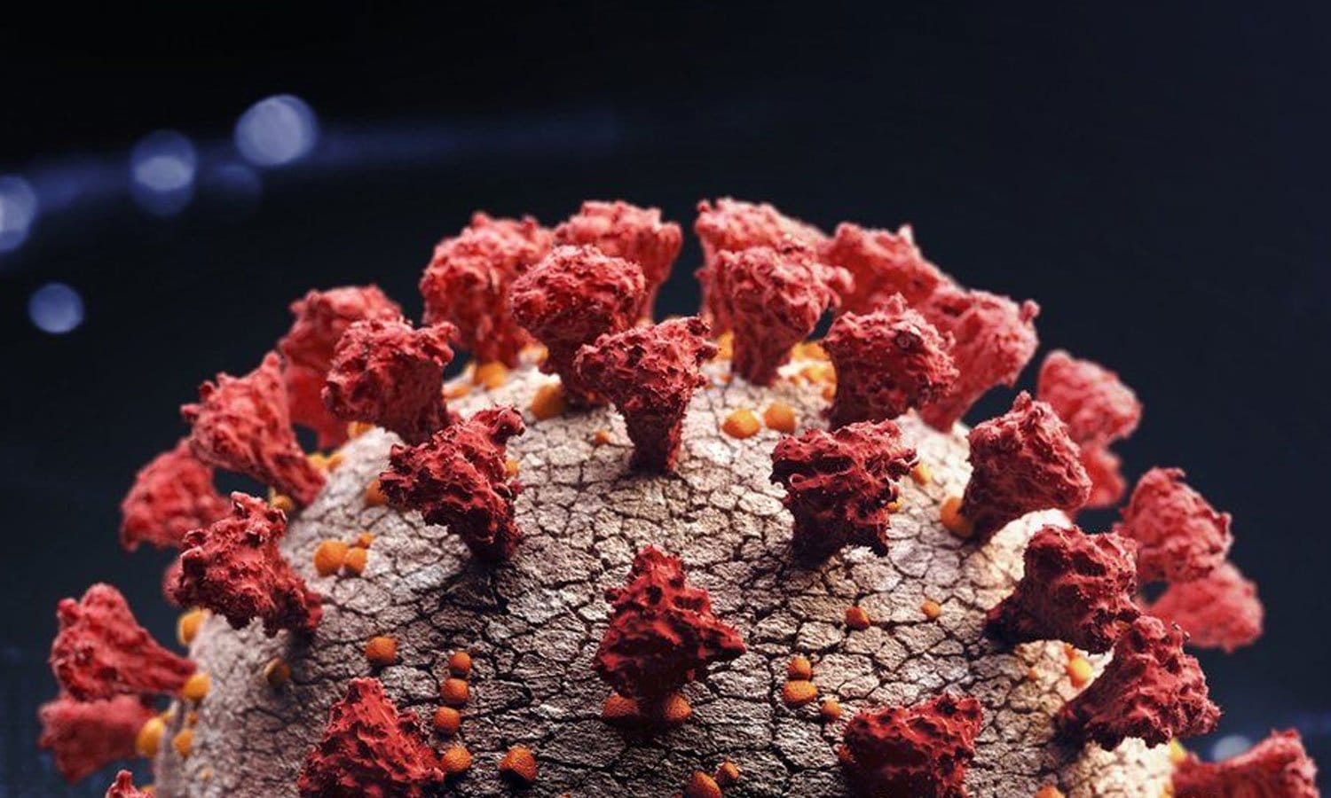 کورونا کا اب تک کا خطرناک ترین ویرینٹ سامنے آگیا، دنیا میں پھر ہلچل مچ گئی