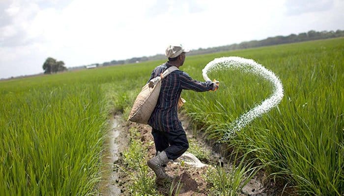 کھاد کی عدم دستیابی کے باعث گندم کی فصل کی بوائی متاثر ہونے کا خدشہ
