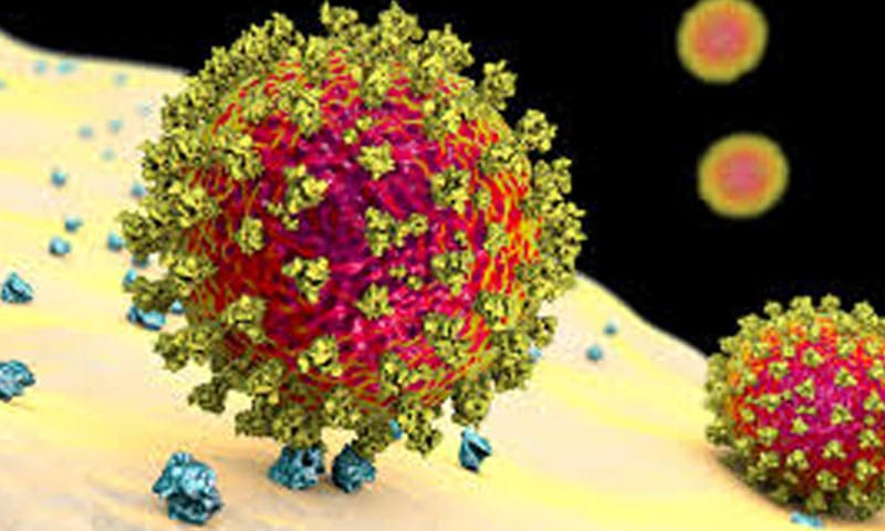 اگلی وبائی بیماری کوویڈ سے زیادہ مہلک ہوسکتی ہے،ماہرین