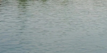 خانپور ڈیم میں پانی کی گنجائش ختم