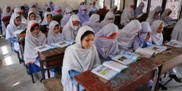 سندھ حکومت نے پرائمری اسکولزکے طلبا کا ڈیٹا کمپیوٹرائزڈ کرنے کا فیصلہ کرلیا