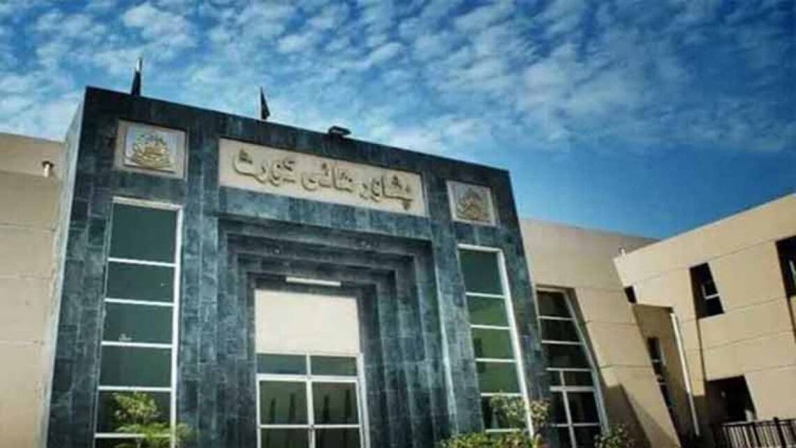 عام انتخابات میں تاخیر کے خلاف پشاور ہائی کورٹ میں درخواست دائر