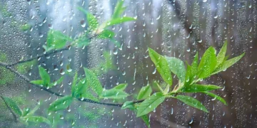 کراچی میں آج سے بارش کا سلسلہ شروع ہونے کی پیشگوئی