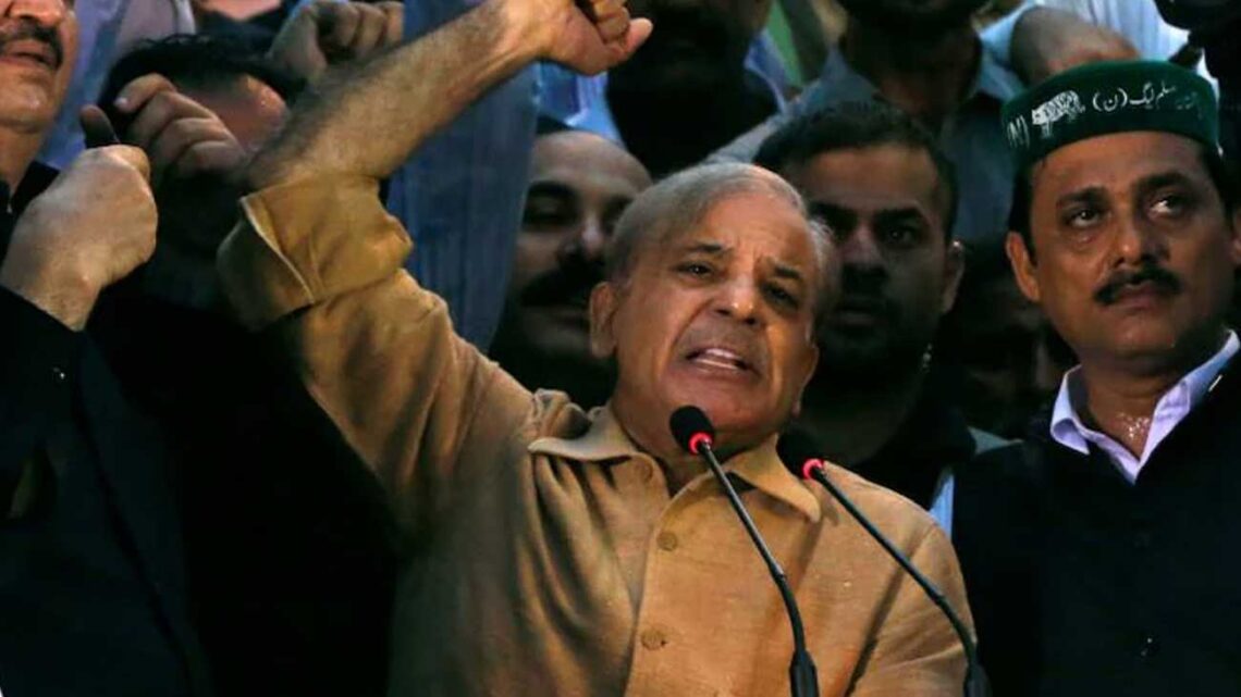 ریاست بچاتے ہماری سیاست کو نقصان پہنچا ہے تو اسکی کوئی فکر نہیں  شہباز شریف