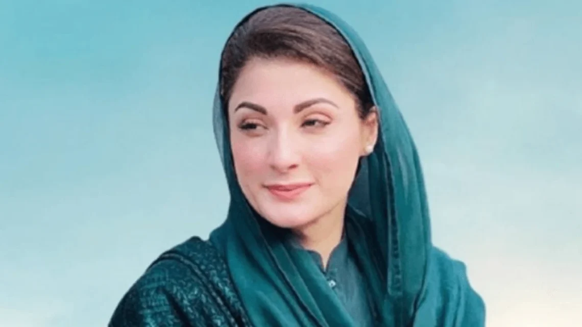 وہ جہاں سے آئے ہیں وہاں اسکولوں میں مویشی بندھے ہوتے ہیں، مریم کی نام لیے بغیر بلاول پر تنقید