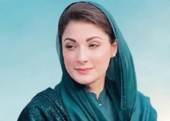 پاک الرٹس - وہ جہاں سے آئے ہیں وہاں اسکولوں میں مویشی بندھے ہوتے ہیں، مریم کی نام لیے بغیر بلاول پر تنقید