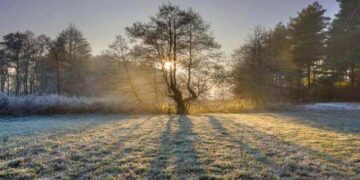 ملک کے بیشتر علاقوں میں موسم سرد اور خشک رہنے کا امکان