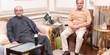 آصف زرداری اور شہباز شریف کی ملاقات ، مل کر حکومت کرنے پر اتفاق