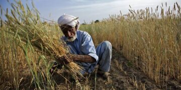 سندھ کابینہ کا صوبے بھر میں کسان کارڈ شروع کرنےکا فیصلہ