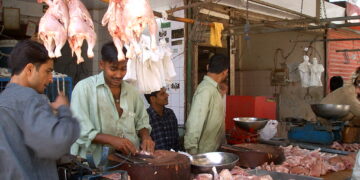 مرغی کا گوشت 17 روپے فی کلو سستا، انڈے مہنگے ہو گئے