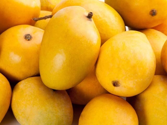 پاکستان میں آم کی پیدوار میں رواں سال بھی کمی ہونے کا انکشاف