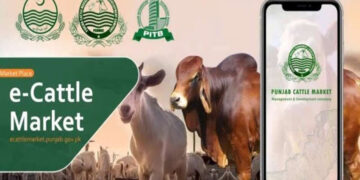پنجاب حکومت نے  عید الاضحی کے موقع پر پاکستان کی پہلی ‘ای کیٹل مارکیٹ’ جیسا شاندار پلیٹ فارم متعارف کروا دیا