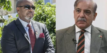 وزیراعظم کا ملاوی کے نائب صدر کی طیارہ حادثے میں موت پر غم کا اظہار