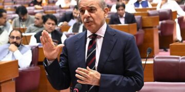 قومی اسمبلی :این ایف سی ایوارڈ میں صوبوں کو حصہ دیا گیا :وزیر اعظم