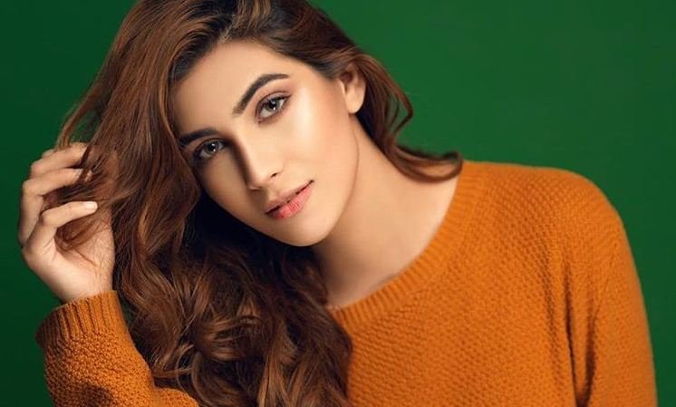 امانت میں خیانت کا الزام، اداکارہ نازش جہانگیر کے گرفتاری وارنٹ جاری