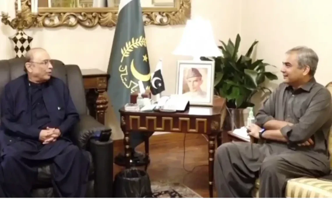 صدر مملکت سے محسن نقوی کی اہم ملاقات، بھارت کے غیرذمہ دارانہ اقدامات اور قومی سلامتی کی صورتحال پر تبادلہ خیال