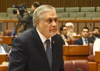  سندھ کے حصے کے پانی کا ایک قطرہ بھی کسی دوسرے صوبے کو نہیں دیا جائے گا: اسحاق ڈار