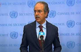 پہلگام واقعے کی عالمی سطح پر تحقیقات میں تعاون کیلیے تیار ہیں: پاکستانی مندوب عاصم افتخار