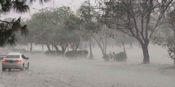 آندھی، طوفان اور بارشوں نے خیبرپختونخوا کو ہلا کر رکھ دیا، 8 افراد جاں بحق، مزید بارشوں کی پیشگوئی