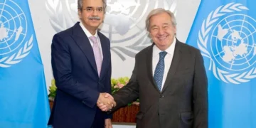 پاکستان اگلے ماہ اقوام متحدہ کی سلامتی کونسل کی صدارت سنبھالے گا