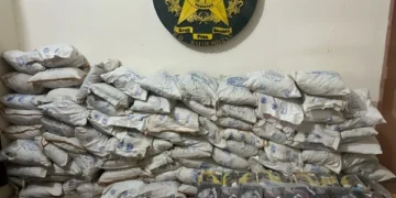 ملک بھر میں اینٹی نارکوٹکس فورس کی بڑی کارروائیاں، 7 کروڑ سے زائد مالیت کی منشیات برآمد، 6 اسمگلر گرفتار