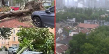 سمندری طوفان ’’کو مے‘‘ شنگھائی سے ٹکرا گیا، شدید بارشوں اور ہواؤں سے شہر مفلوج، لاکھوں افراد کا انخلا