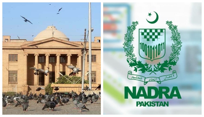 سندھ ہائی کورٹ کا نادرا پر برہمی، زرینہ نامی خاتون کو شناختی کارڈ جاری کرنے کے لیے فوری زونل بورڈ اجلاس بلانے کا حکم