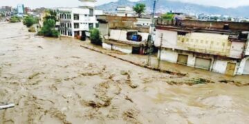 صرف ضلع دیر میں ہزار سے زائد اموات کا خدشہ، وزیر اعظم کے معاون کا انکشاف